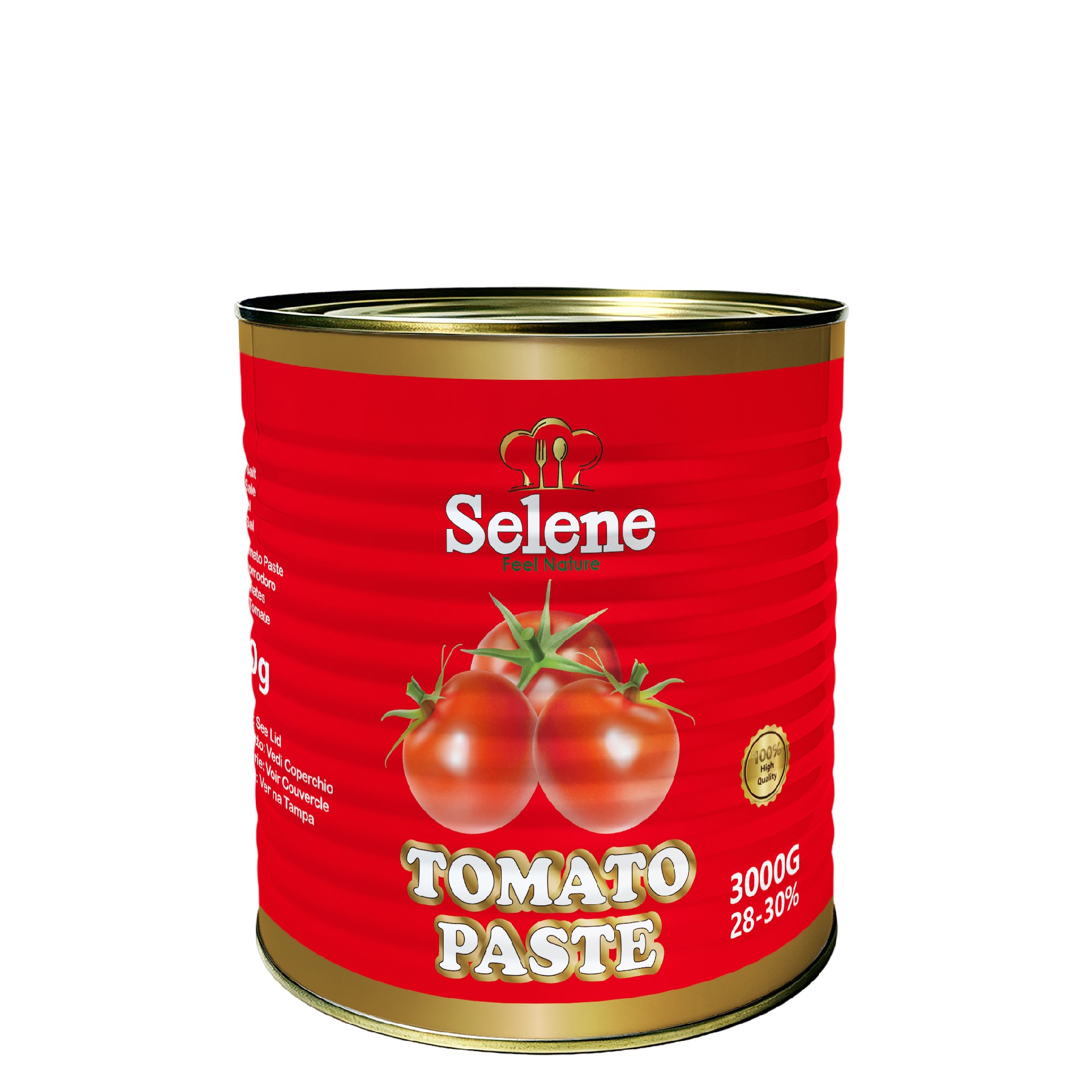 Tin tomato paste 3000g